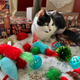 Illustration for article titled Merry Catmas!